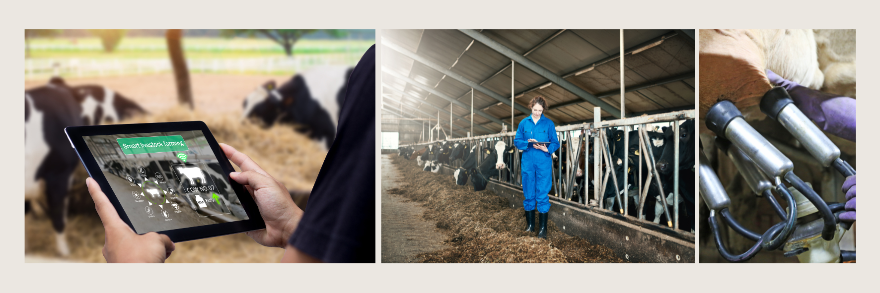 Exploring Digital Farming: An Interview with Frido Hamoen from Lely